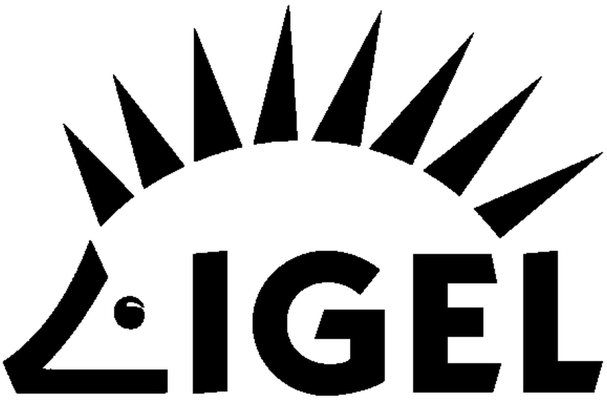 You are currently viewing IGEL POSITIONIERTS SICH ALS SOFTWARE-HERSTELLER